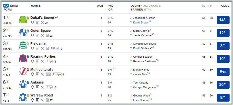 Horse Racing Form Card Graphic